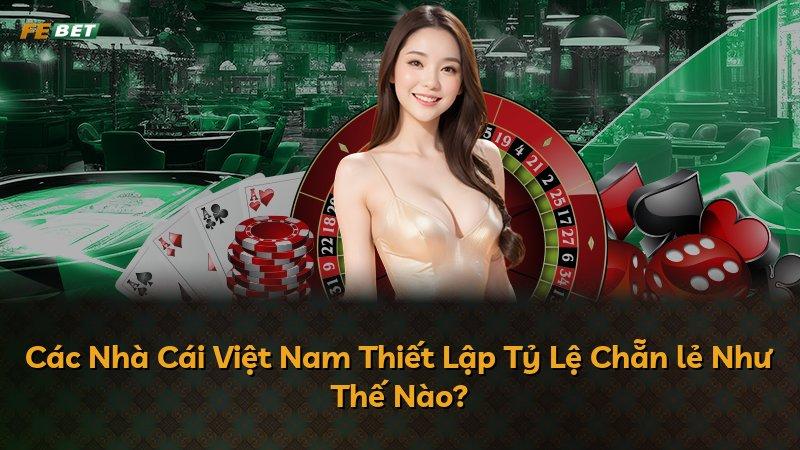 Các Nhà Cái Việt Nam Thiết Lập Tỷ Lệ Chẵn lẻ Như Thế Nào?