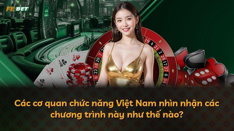 Các cơ quan chức năng Việt Nam nhìn nhận các chương trình này như thế nào?