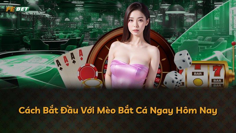 Cách Bắt Đầu Với Mèo Bắt Cá Ngay Hôm Nay