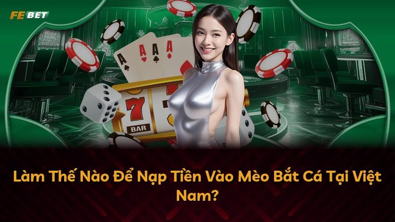 Làm Thế Nào Để Nạp Tiền Vào Mèo Bắt Cá Tại Việt Nam?