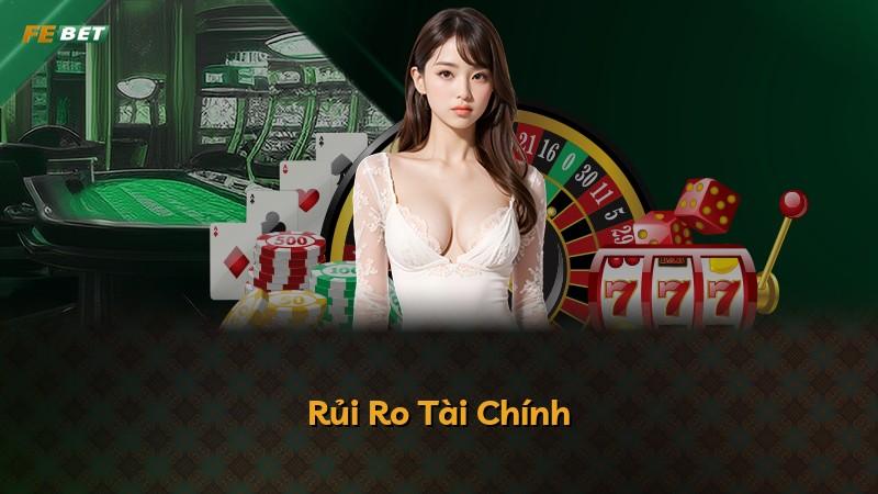 Rủi Ro Tài Chính